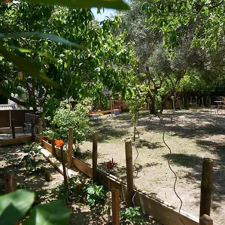 Nature بيت شباب لا سيوتا