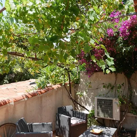Nature بيت شباب لا سيوتا
